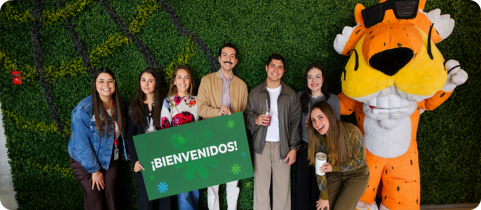 Sobre el Programa de Trainee