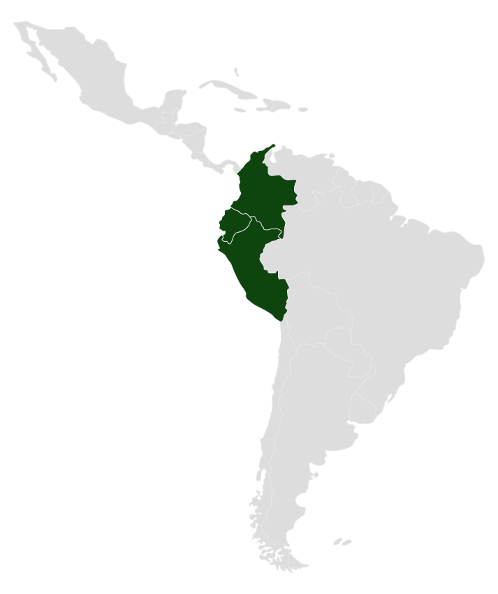 Mapa de Andinos: Colombia, Ecuador, Venezuela y Perú