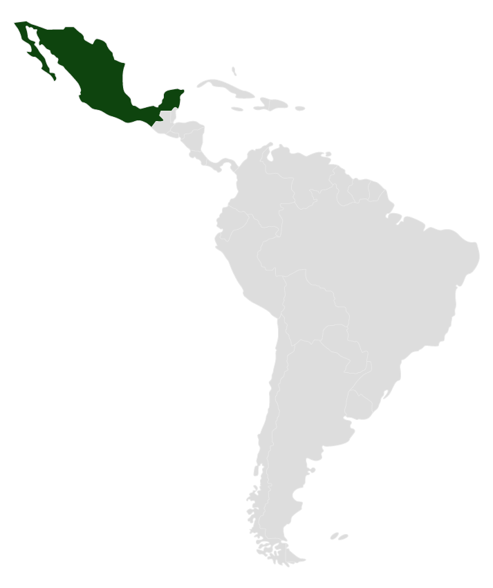 Mapa de México