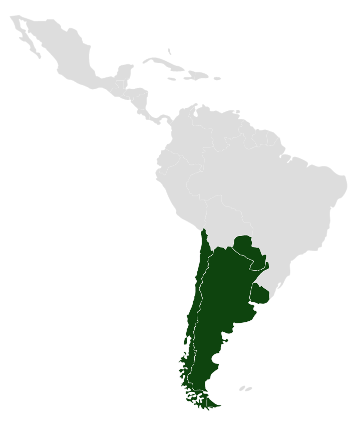 Mapa de Cono Sur (Argentina, Chile y Uruguay)